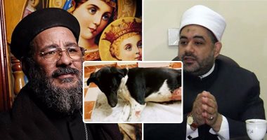 بعد اغتصاب كلبة.. الافتاء: إتيان الحيوانات حرام شرعا وفاعله مريض ويجب عرضه على الطب النفسى.. كاهن كنيسة العذراء: ينتشر فى القرى والأرياف والمسيحية تحرمه لمخالفته الطبيعة..وفتاوى بإقامة الحد على مرتكبه