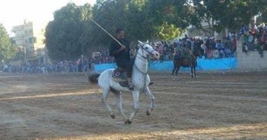 بالفيديو والصور.. عشرات الخيالة يشاركون فى المسابقة السنوية بالأقصر