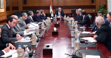 مصادر: الحكومة تتراجع عن إعفاء الدواجن المستوردة من الجمارك خلال ساعات