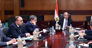 الحكومة: تشكيل مجموعة عمل لوضع توصيات ضوابط استيراد الدواجن المجمدة