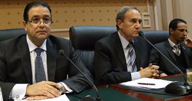 بالصور.. بدء اجتماع "حقوق الإنسان" و"العفو" لبحث آلية الإفراج عن المحبوسين احتياطيا