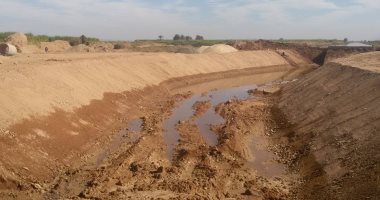 الجريدة الرسمية تنشر قرار الرئيس بالموافقة على اتفاقية مع "فاو"