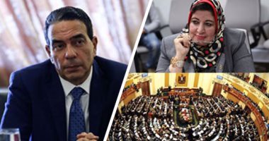 نائبة بـ"صحة" البرلمان تطالب إرجاء قرار زيادة أسعار أدوية الأمراض المزمنة