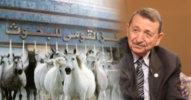 مصر تنجح فى علاج ثان حصان من السرطان باستخدام الذهب.. الحيوان حقن بالجزيئات مرة واحدة وفترة العلاج استغرقت أسبوعين فقط.. ومصطفى السيد يعلن مفأجات جديدة بشأن التجارب خلال أيام بحضور فاروق الباز