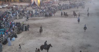 بالفيديو والصور.. ختام فعاليات أكبر سباق للخيول وعروض رقص ليلية بالأقصر