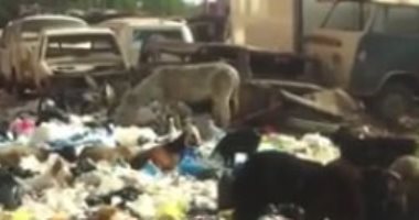 بالفيديو..تراكم القمامة وسط حى سكنى بالطالبية
