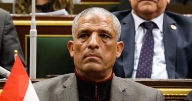 نائب: "شركات جمع القمامة التابعة للقطاع الخاص بتضحك على الحكومة"
