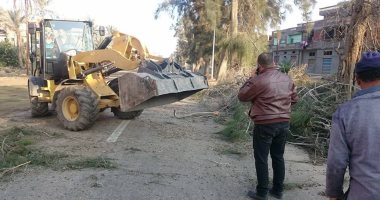 توقف حركة المرور بطريق دمياط رأس البر القديم بسبب سقوط شجرة