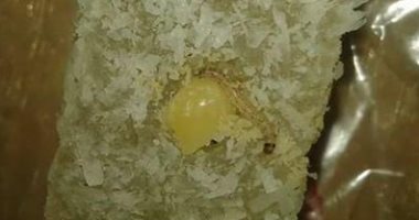 محضر ضد محل حلويات شهير بدمياط بعد العثور على دودة داخل "الملبن"