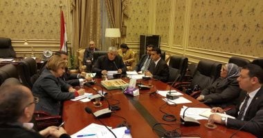 العلاقات الخارجية بالبرلمان: نجهز لتنظيم زيارة للكونجرس الفترة المقبلة