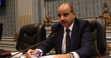 "رئيس زراعة البرلمان": ندعم الفلاح ونسعى لتطبيق المادة 29 من الدستور