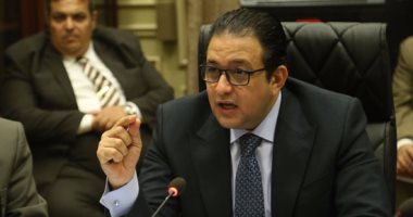 "حقوق الإنسان" بالبرلمان تلتقى السفير السويسرى بالقاهرة 
