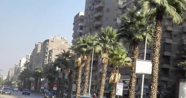 قارئ يشكو من إضاءة أعمدة إنارة نهاراً فى شارع فيصل 