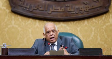 رئيس البرلمان يدعو لإعداد قانون يفصل إنتاج الدواء عن توزيعه لإنهاء الاحتكار