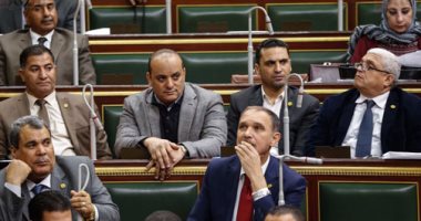 مجلس النواب يوافق على قانون الهيئة القومية لسلامة الغذاء فى مجموعه