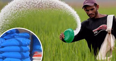 بعد رفع أسعار الأسمدة بنسبة 50% للطن.. وقف الصرف للمحاصيل الشتوية بالجمعيات 48 ساعة وتطبيق السعر الجديد.. و"التعاونيات": 150جنيها لشيكارة اليوريا و145 للنترات.. ومطالبات برفع أسعار 6 محاصيل استراتيجية
