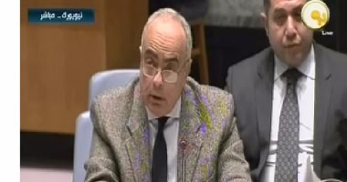 مندوب مصر بالأمم المتحدة: احتلال فلسطين الأطول فى التاريخ الحديث