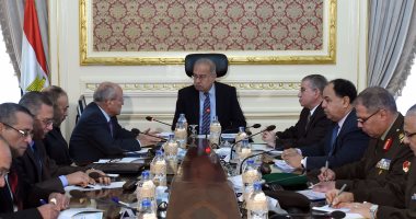 رئيس الوزراء: تنقية بطاقات التموين لتوجيه الدعم لمستحقيه وإضافة المواليد