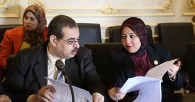 نائب بلجنة الصحة: الحكومة فاشلة .."ومحدش هينجح تانى من النواب"