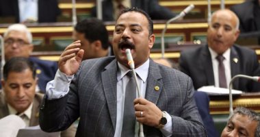 نائب يطالب بإجراء ضد النواب المتغيبين عن الجلسات: "شكلنا بقى وحش"