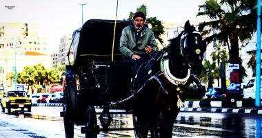 بالصور.. القارئ عمرو البكرى يبرز جمال مدينة الإسكندرية بكاميرا هاتفه