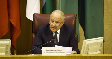 صربيا تقرر منح "أحمد أبو الغيط" وسام العلم