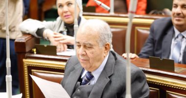 مجدى العجاتى: مشكلة بطء التقاضى أزلية.. والقضاء معذور لأنه مقيد بنصوص