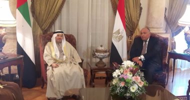 سامح شكرى يبحث مع وزير الدولة الإماراتى القضايا الإقليمية