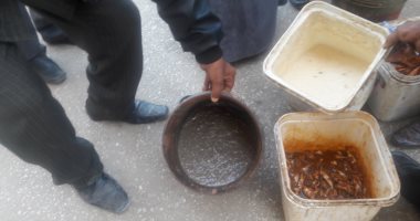 بالصور.. ضبط 7 كيلو أسماك مملحة و3 كيلو "مش" منتهية الصلاحية بمدينة إسنا