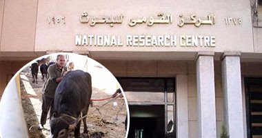 فى إنجاز جديد للمركز.. "القومى للبحوث" ينجح فى قتل أمراض التربة بـ"قشر الجمبرى" وتوفير مياه الرى بـ"الهيدروجيل".. التجارب أجريت على عشرات المحاصيل كالقمح والأرز.. ومسئول: نحتاج لاهتمام متخذى القرار
