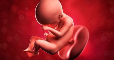 لأول مرة فى أمريكا.. علماء ينجحون فى تعديل الـDNA لجنين بشري