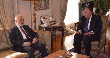وزير خارجية العراق: دور الجيش والأزهر فى حماية الدولة المصرية بطولى