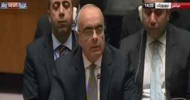 بالفيديو.. مصر: اضطررنا لسحب مشروع الاستيطان من الناحية الإجرائية بعد مزايدات تعرضنا لها