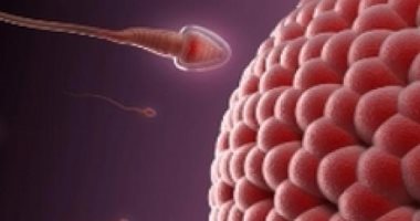 التدخين ووضع اللابتوب على الفخذين .. 8 عادات تدمر الحيوانات المنوية