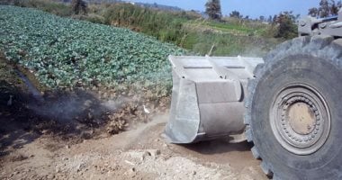 بالصور.. أمن القاهرة يسترد قطعة أرض بمساحة 10 أفدنة فى التبين شرق النيل 