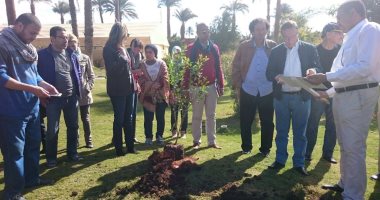 بالصور.. زرع شجرتين فى ملتقى الأقصر الدولى للتصوير