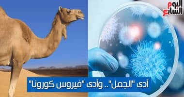 فيديو معلوماتى.. آدى "الجمل" وآدى فيروس كورونا.. ما العلاقة بينهما؟