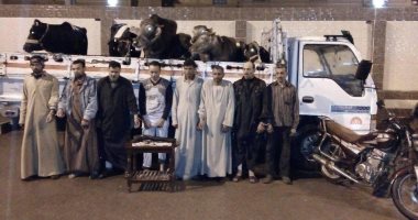بالصور ..القبض على عصابة سرقة المواشي بالغربية وبحوزتهم أسلحة 
