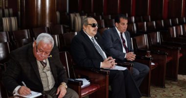 بالصور.. جدل فى لجنة الشئون الإفريقية حول زيارة مستشار العاهل السعودى لإثيوبيا