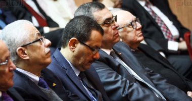 أحمد درويش: 7مليارات دولار تمويلا لإنشاء مجمع للبتروكيماويات بمحور القناة