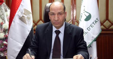 الأمين العام لمجلس الدولة: رصدنا إقبالا حاشدا على مستوى اللجان الفرعية