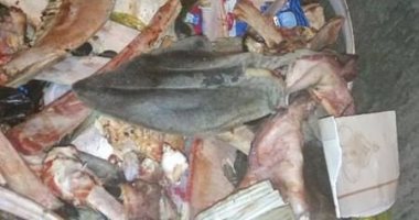 بالصور.. العثور على عظام داخل صندوق قمامة يثير الزعر فى الإسماعيلية