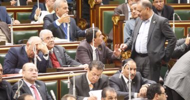 نائبة بالجلسة العامة تطالب بزيادة سعر توريد القمح لـ650 جنيها