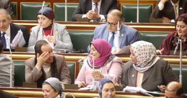 النائب أحمد همام يطالب بعقد جلسة طارئة بحضور مجلس الوزراء بالكامل