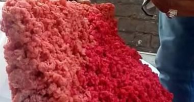 ضبط سيارة لبيع اللحوم تحمل شعار مزور لـ تحيا مصر" بالجيزة 