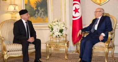 رئيس مجلس النواب الليبى يبحث مع السبسى أوجه التعاون بين البلدين