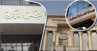 مجلس الدولة ينتهى من مراجعة قوانين الإفلاس وتعديلات "القومى لحقوق الإنسان"