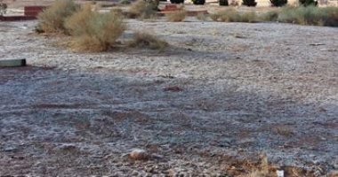 بالصور.. الثلوج تغطى جبل سانت كاترين.. و277 سائحا يزورون المدينة