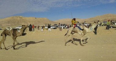 "الترابين" تفوز بالمركز الأول فى سباق الهجن بوادى الزلفة بسيناء