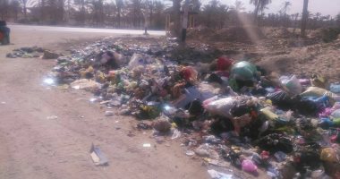 بالصور.. "مجلس العريش" يتجاوز أزمة حرق معدات النظافة ويرفع مخلفات الشوارع